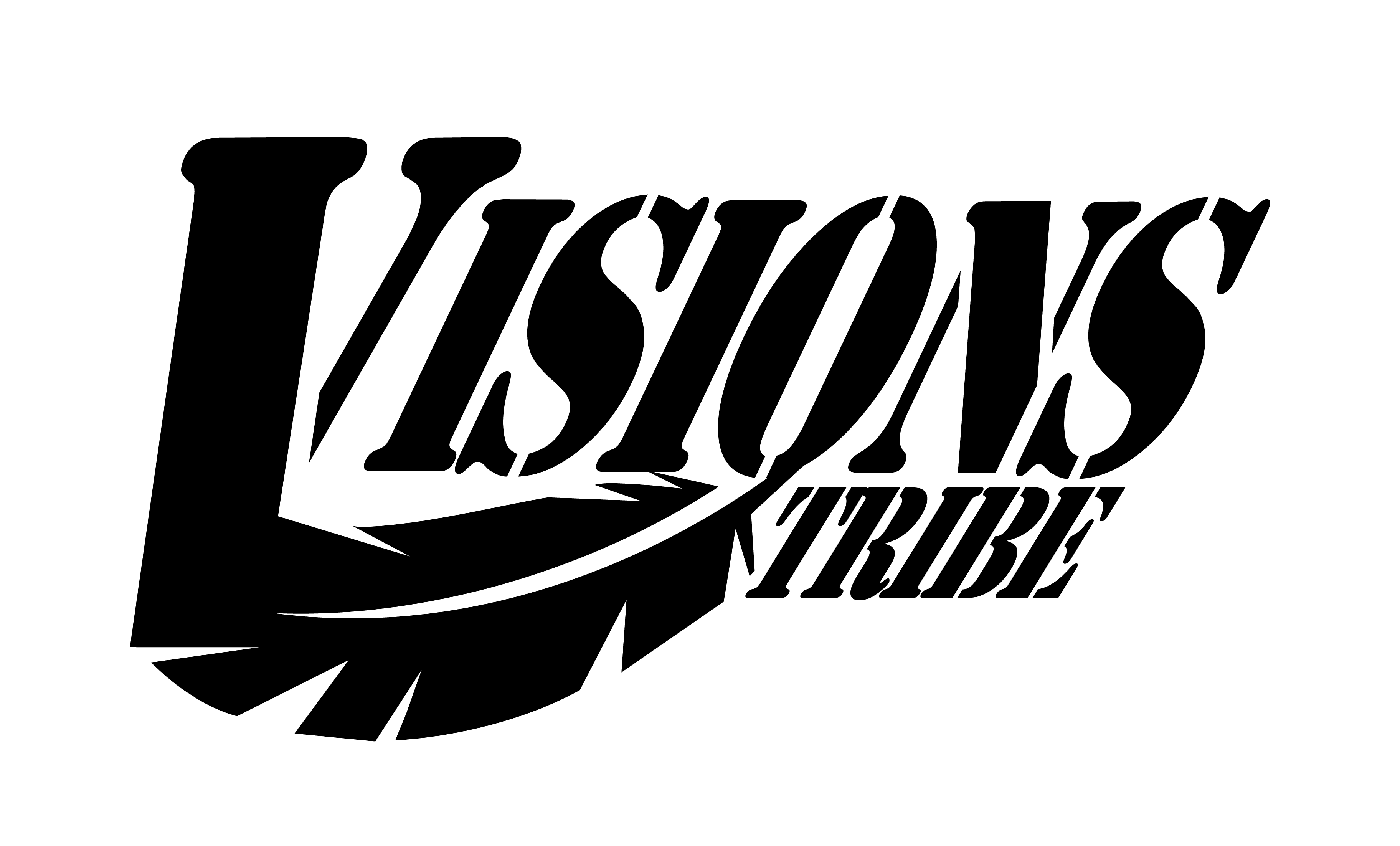 VSNS Visions